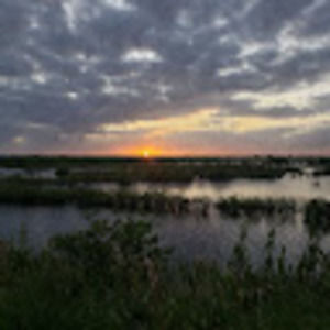 Meet your Posher, Raven